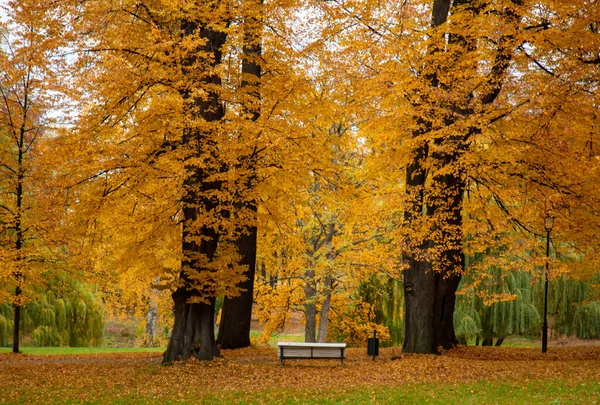 Vintage Bankje Het Herfstseizoen Park Sudetes Polen — Stockfoto