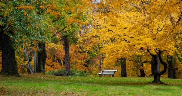 Vintage Bankje Het Herfstseizoen Park Sudetes Polen — Stockfoto