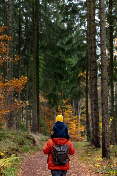 Mutter Und Sohn Spazieren Herbst Durch Den Wald — Stockfoto