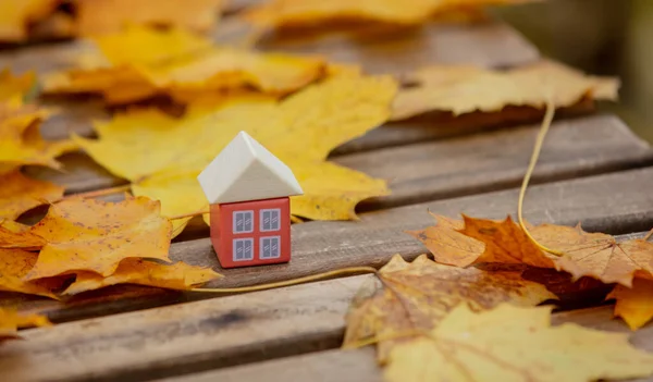 Маленький Домик Игрушек Рядом Осенними Листьями Столе — стоковое фото