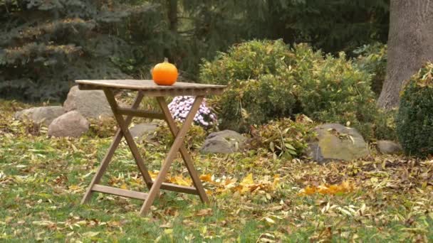 Citrouille Sur Une Table Dans Jardin — Video