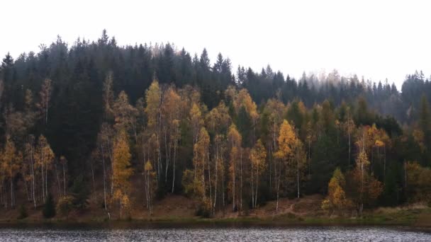 Vue Sur Forêt Près Lac Automne Pologne Frontière Avec République — Video