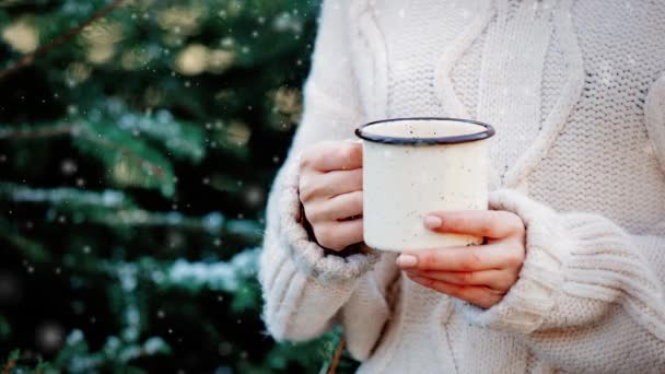 身穿白色毛衣的女孩 背靠冷杉树 手里拿着一杯咖啡 — 图库视频影像