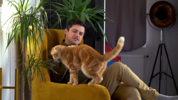 Férfi Simogat Egy Macskát Egy Karosszékben Otthon — Stock videók