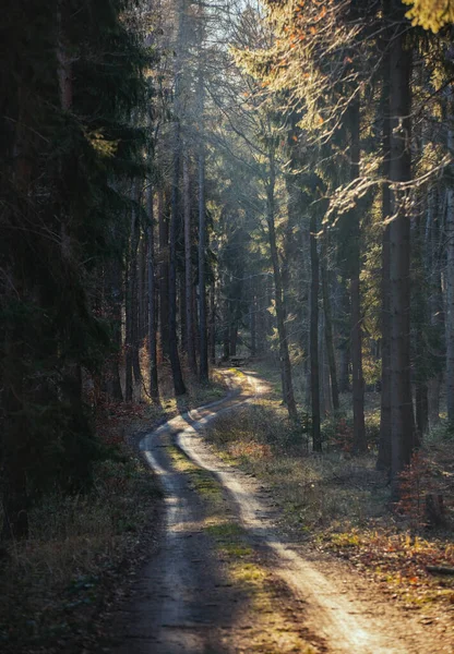 Εξοχή Δρόμο Sudetes Βουνά Στην Πολωνία — Φωτογραφία Αρχείου