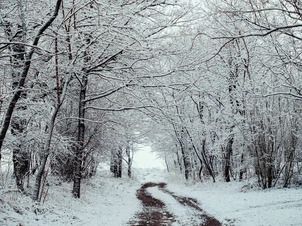 Campo Carretera Nieve Pueblo Polonia — Foto de Stock