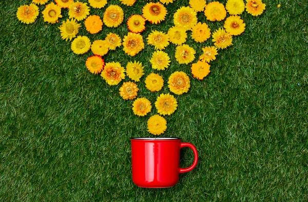 Dandelion Flowers Cup Coffee Green Grass View — Stock Photo, Image