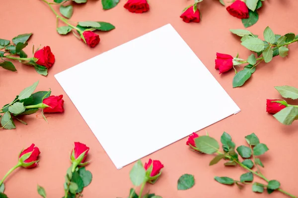 Quadratische Banner Und Rote Rosen Auf Rosa Hintergrund lizenzfreie Stockbilder