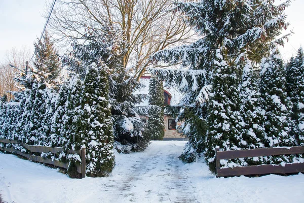 Vecchia Casa Mattoni Alberi Intorno Nella Neve Bassa Slesia Polonia — Foto Stock