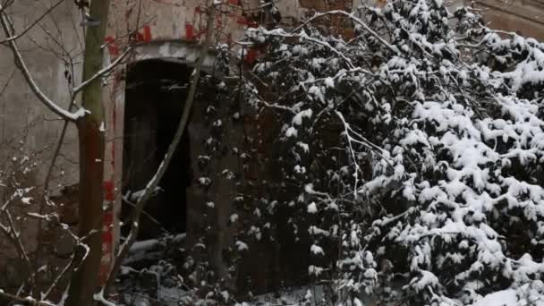 Destruida Abandonada Casa Del Siglo Xix Baja Silesia Polonia — Vídeo de stock