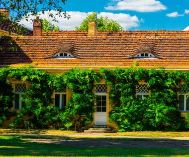 Güneşli bir günde yeşil bitkileri ve ağaçları olan güzel bir ev. Gremany 