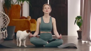 Evde köpekle yoga yapan bir kız.