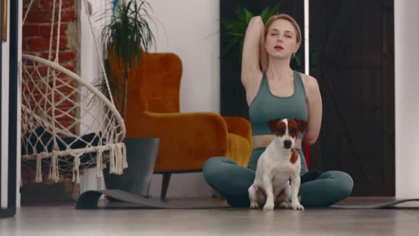 Fata Practică Yoga Câine Acasă — Videoclip de stoc