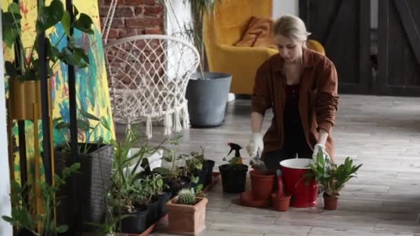 Mädchen Beschäftigt Sich Hause Mit Gartenarbeit Verpflanzt Eine Blume — Stockvideo