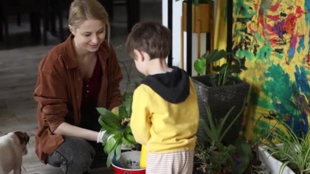 Mom Son Doing Gardening Home Replanting Flowers — Stock Video