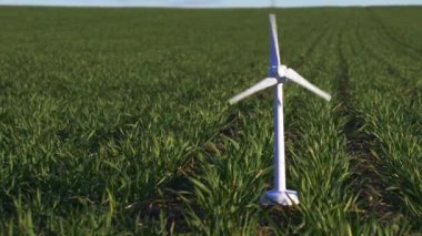 Yeşil buğday tarlasında oyuncak rüzgar türbini