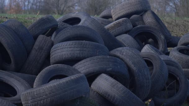 Neumáticos Automóviles Ilegalmente Césped Lejos Junto Campo Trigo Silesia Polonia — Vídeos de Stock