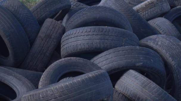 Neumáticos Automóviles Ilegalmente Césped Lejos Junto Campo Trigo Silesia Polonia — Vídeos de Stock