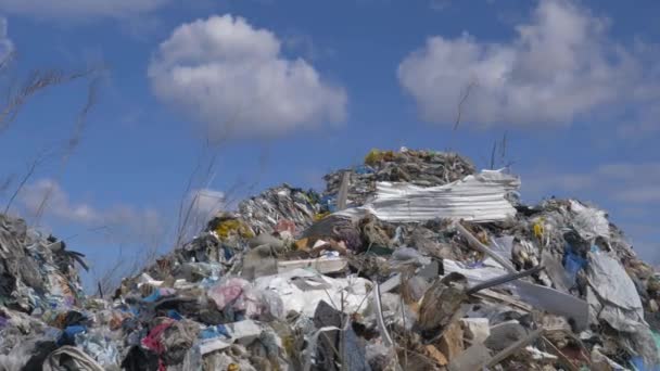Sampah Plastik Ilegal Plastik Beracun Yang Diekspor Dari Jerman Dikumpulkan — Stok Video