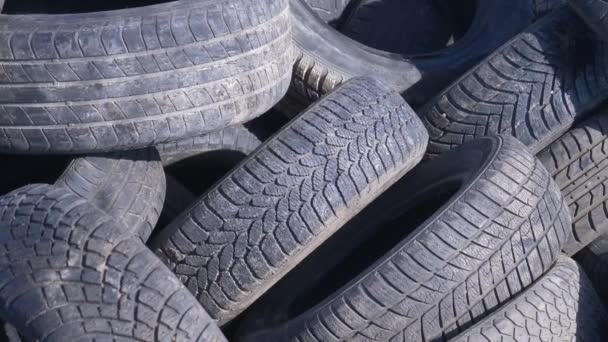 Pneus Voiture Illégalement Gazons Côté Champ Blé Silésie Pologne — Video