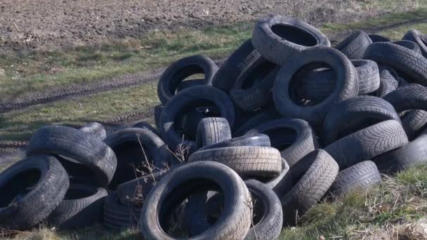 Neumáticos Automóviles Ilegalmente Césped Lejos Junto Campo Trigo Silesia Polonia — Vídeos de Stock