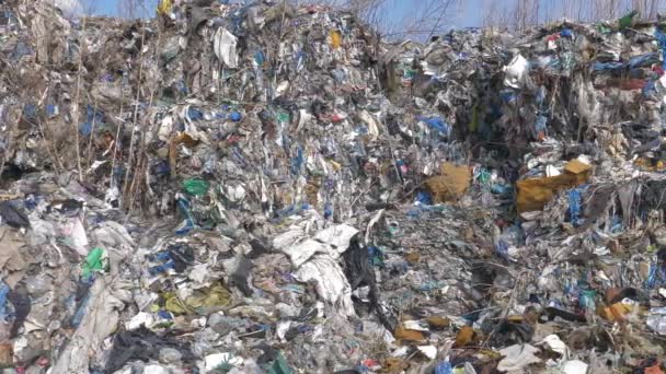 Vertedero Ilegal Plástico Plástico Tóxico Exportado Desde Alemania Recoge Canteras — Vídeos de Stock