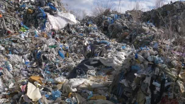 Une Décharge Illégale Plastique Plastique Toxique Exporté Allemagne Est Collecté — Video