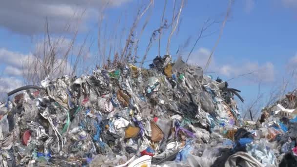 Une Décharge Illégale Plastique Plastique Toxique Exporté Allemagne Est Collecté — Video