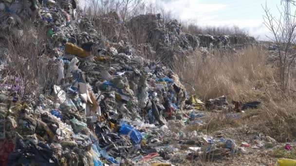 Discarica Plastica Illegale Plastica Tossica Esportata Dalla Germania Viene Raccolta — Video Stock