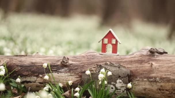 Pequena Casa Brinquedo Prado Gotas Neve Uma Floresta — Vídeo de Stock