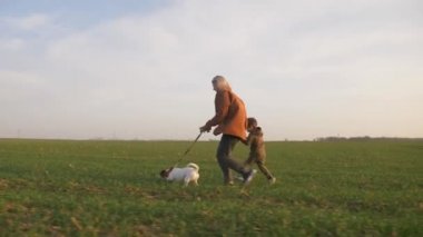 Anne oğul ve köpek gün batımında yeşil buğday tarlasında koşuyorlar.