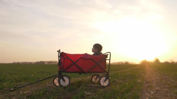 Petit Garçon Assis Dans Chariot Dans Une Route Campagne Coucher — Video