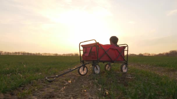 Kleiner Junge Sitzt Einem Wagen Auf Einer Landstraße Bei Sonnenuntergang — Stockvideo