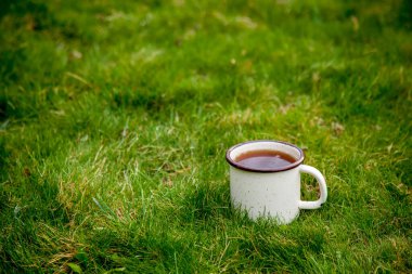 Baharda yeşil çimlerde çay fincanı 