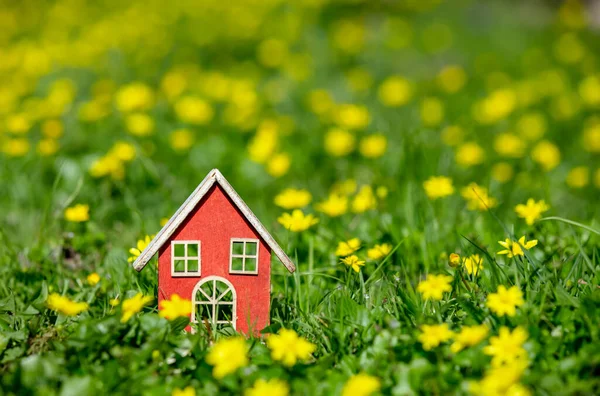 Kleines Haus Auf Der Wiese Mit Gelben Blumen Frühling — Stockfoto