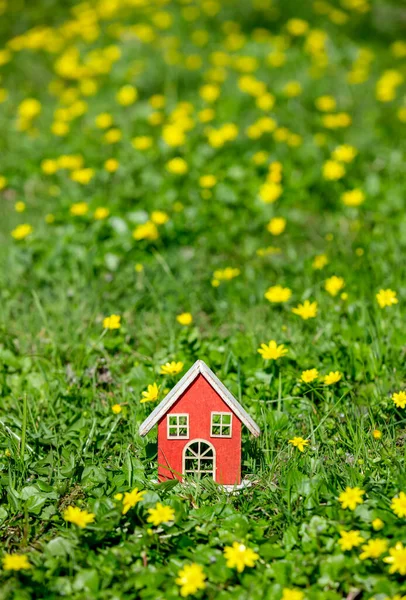 Kleines Haus Auf Der Wiese Mit Gelben Blumen Frühling — Stockfoto