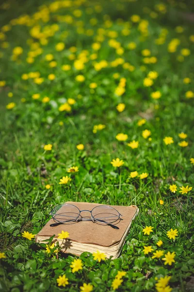 Old Book Glasses Reading Yellow Flowers Meadow — Stock Photo, Image