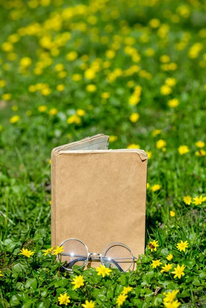 Old Book Glasses Reading Yellow Flowers Meadow — Stock Photo, Image