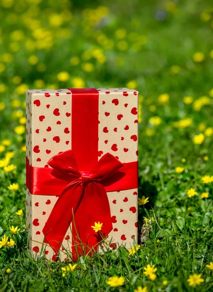 Caja Regalo Con Lazo Rojo Prado Con Flores Amarillas —  Fotos de Stock