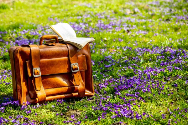 Vintage Tas Oude Boeken Met Bril Een Weiland Met Paarse — Stockfoto