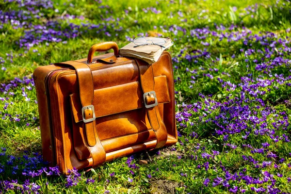 Bolso Vintage Libros Antiguos Con Gafas Prado Con Flores Púrpuras — Foto de Stock