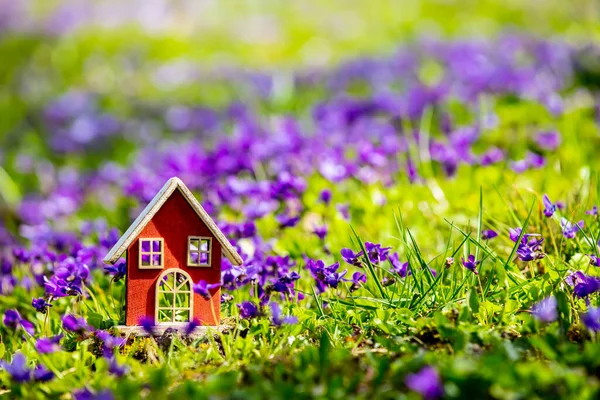 Kleines Haus Auf Der Wiese Mit Lila Blüten Frühling — Stockfoto