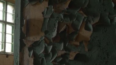 Terk edilmiş bir evin kırık boyasına yakından bak..