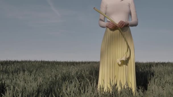 Femme Tenir Fleur Calla Sur Fond Ciel Bleu Dans Pays — Video