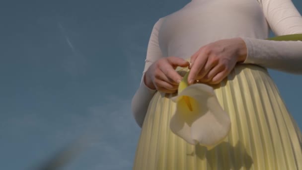 Kobieta Hold Calla Kwiat Tle Niebieskiego Nieba Kraju — Wideo stockowe