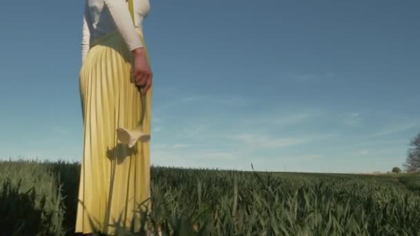 Feminino Segurar Calla Flor Céu Azul Fundo País — Vídeo de Stock