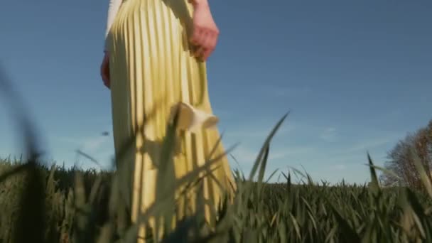 Жінка Тримає Квітку Кали Фоні Блакитного Неба Країні — стокове відео