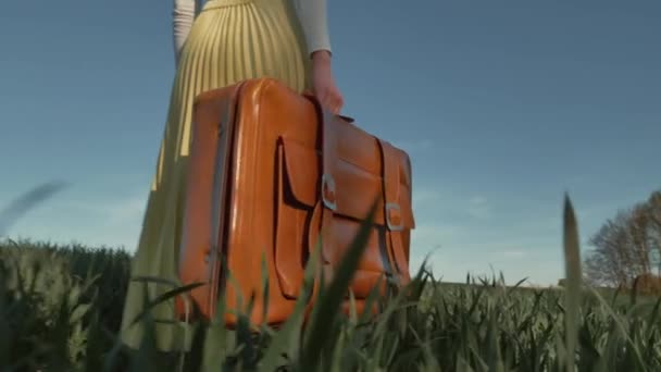 Female Green Skirt Hold Suitcase Wheat Field — Stock Video