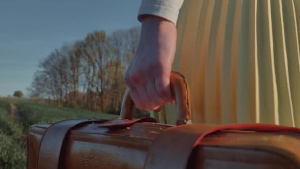 Female Green Skirt Hold Suitcase Wheat Field — Stock Video