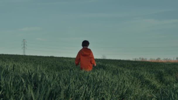 Niño Chaqueta Naranja Campo Trigo Verde — Vídeos de Stock